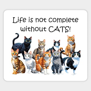 Life is not complete without cats - funny watercolour cat design, black cat, ginger cat, tabby, bengal, gray cat, lots of cats Magnet